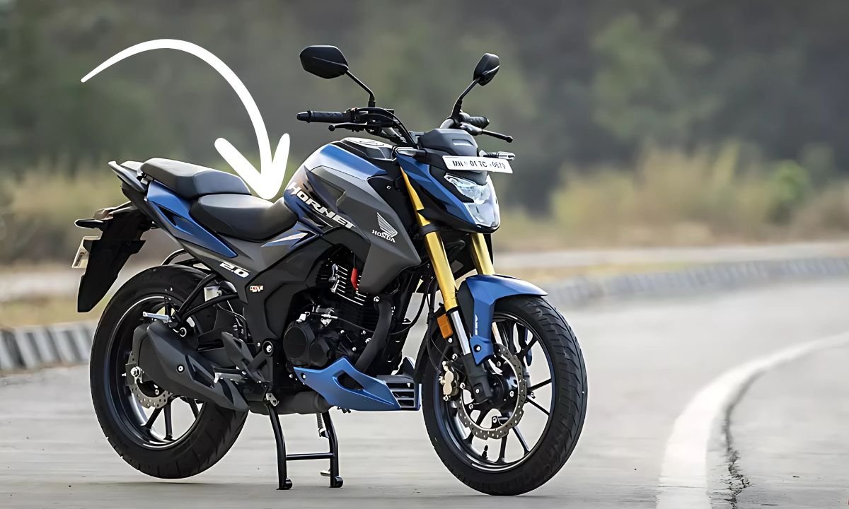 Honda Hornet 2.0